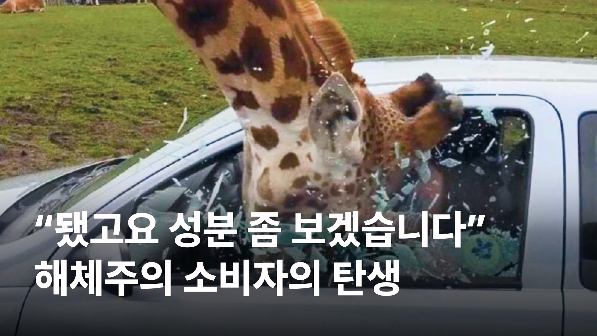 오늘의 인사이트 썸네일